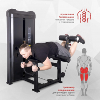 Сгибание ног лежа PROTRAIN CPB303-72